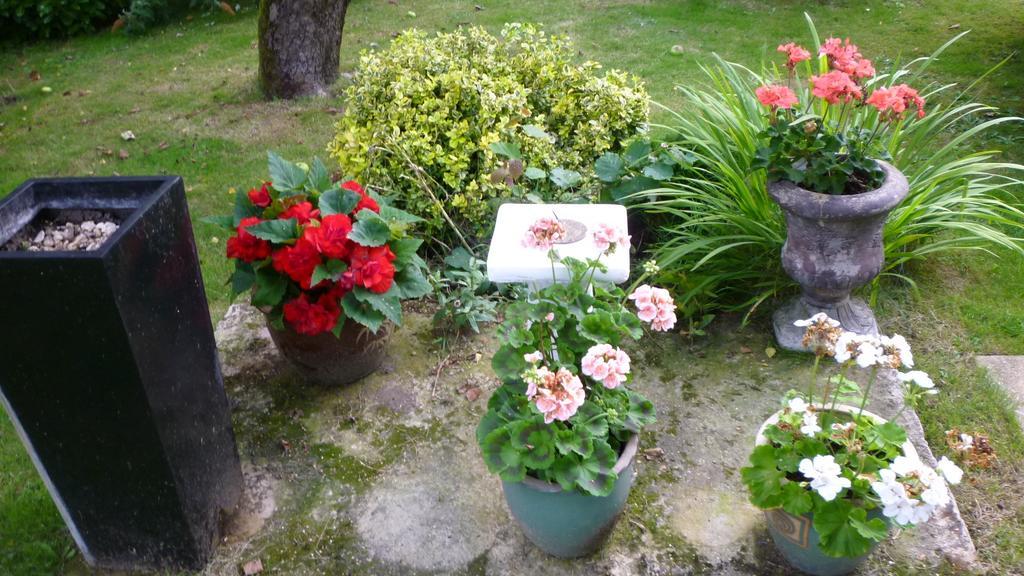 Apartamento Hopewell Self-Catering Gravesend Exterior foto