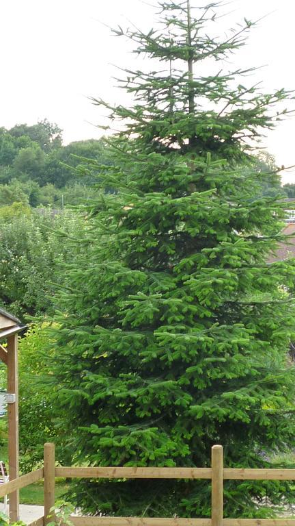 Apartamento Hopewell Self-Catering Gravesend Exterior foto